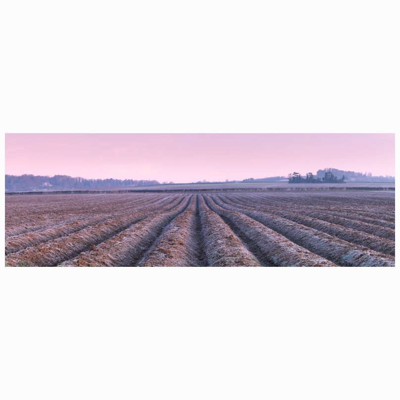 Frosty ploughed fields