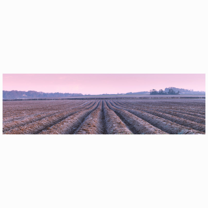 Frosty ploughed fields