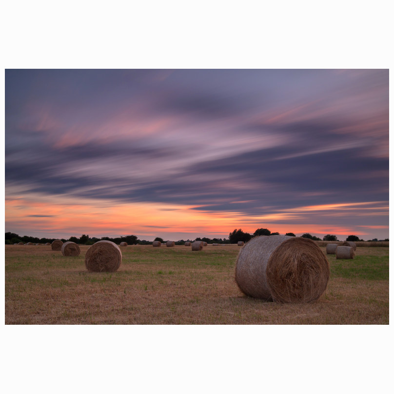 Hay bales sunset