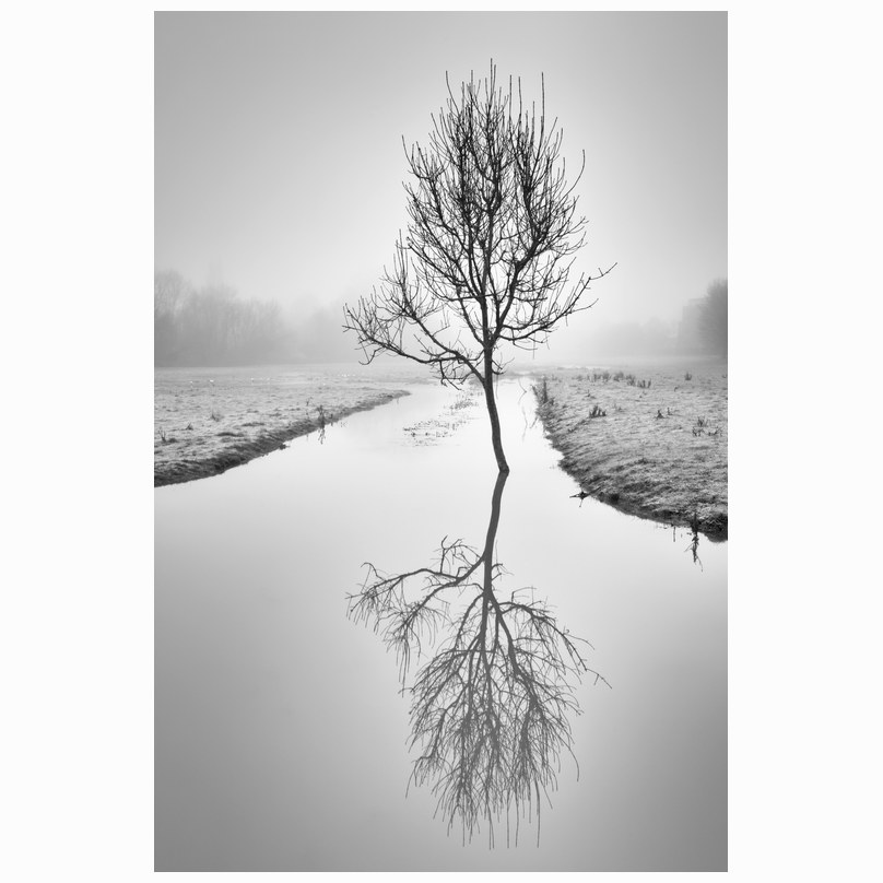 Reflections Fen Causeway