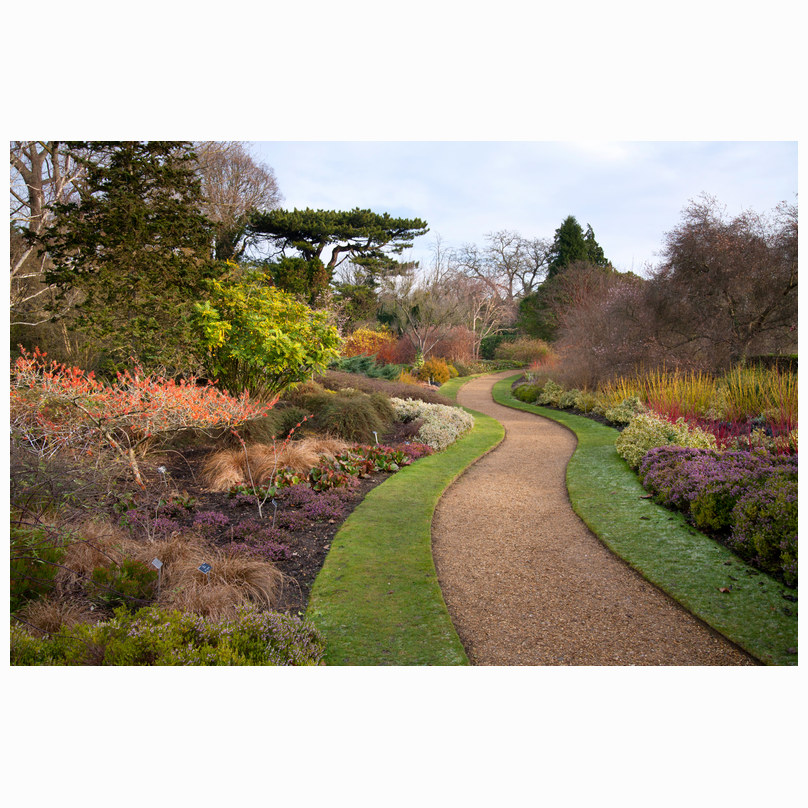 Winter walk - Botanical Gardens