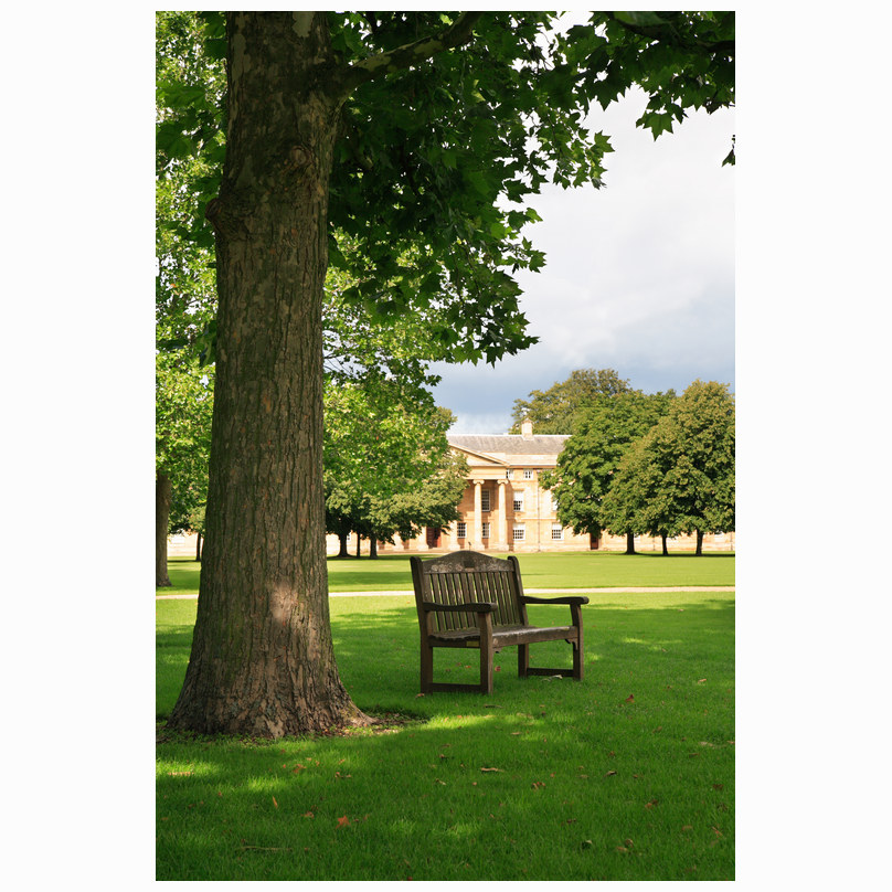 Downing College bench