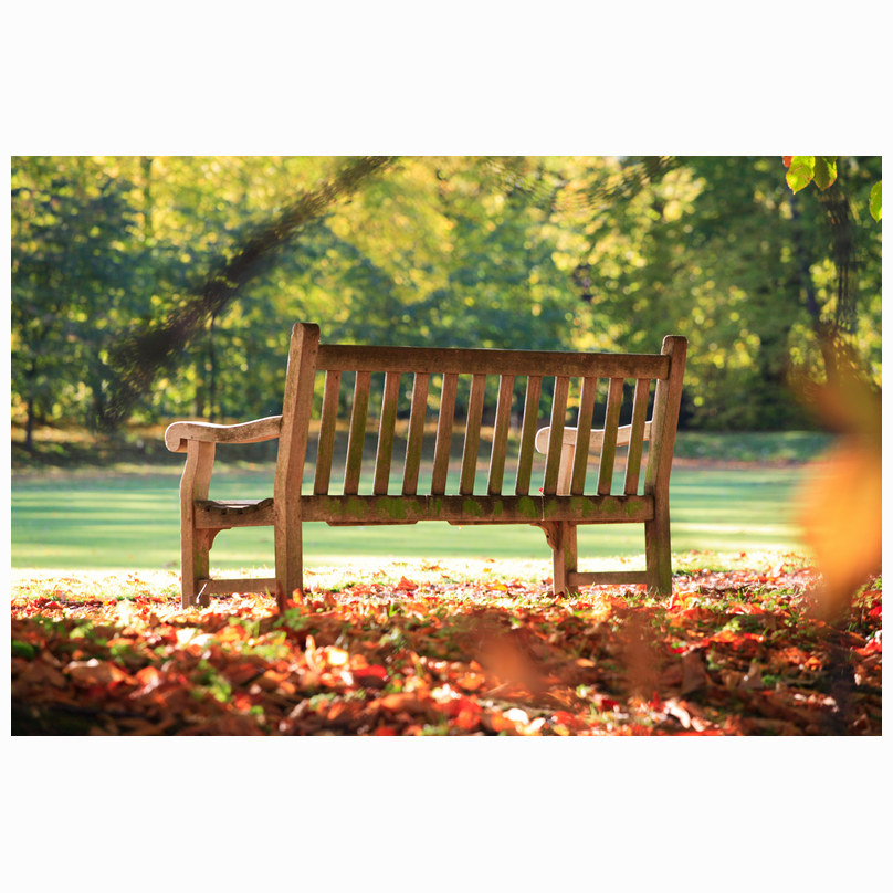 Trinity bench