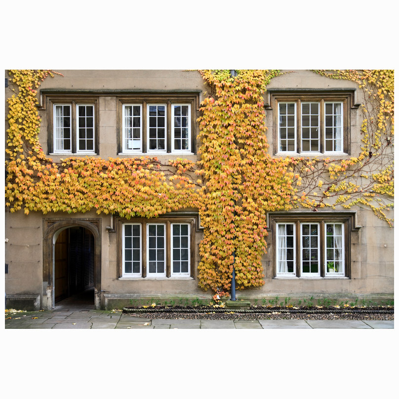 Autumn Sidney Sussex