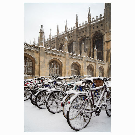 Bikes in the snow