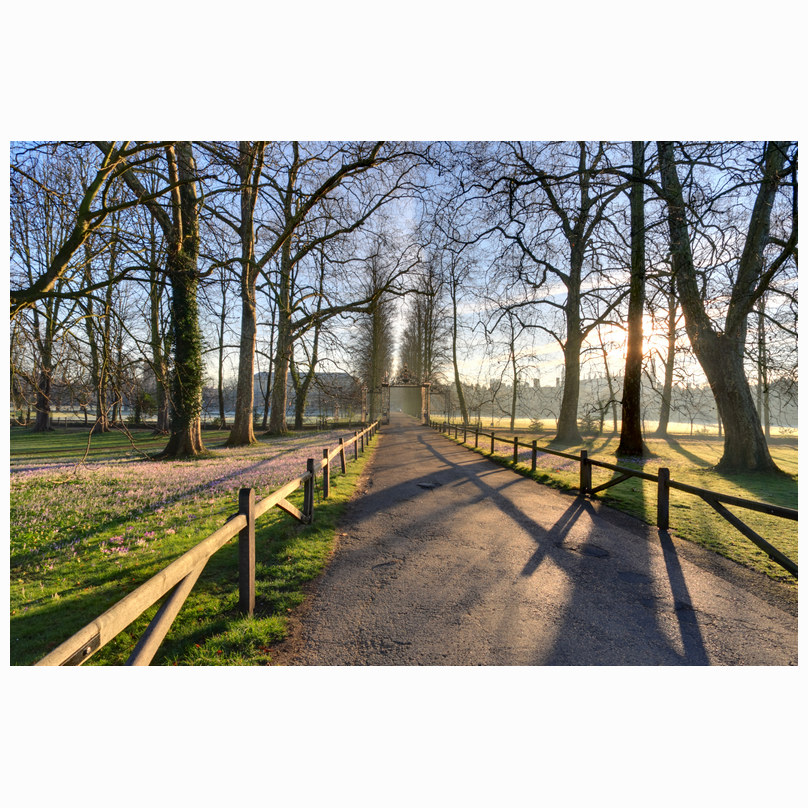 Spring sunrise Trinity