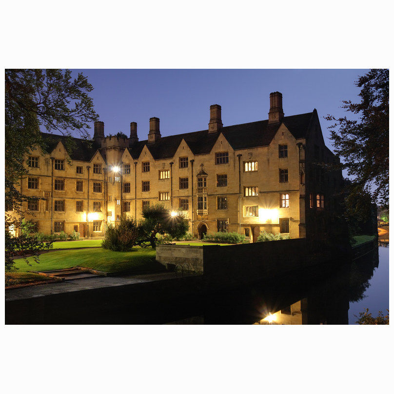 Bodley's Court Kings