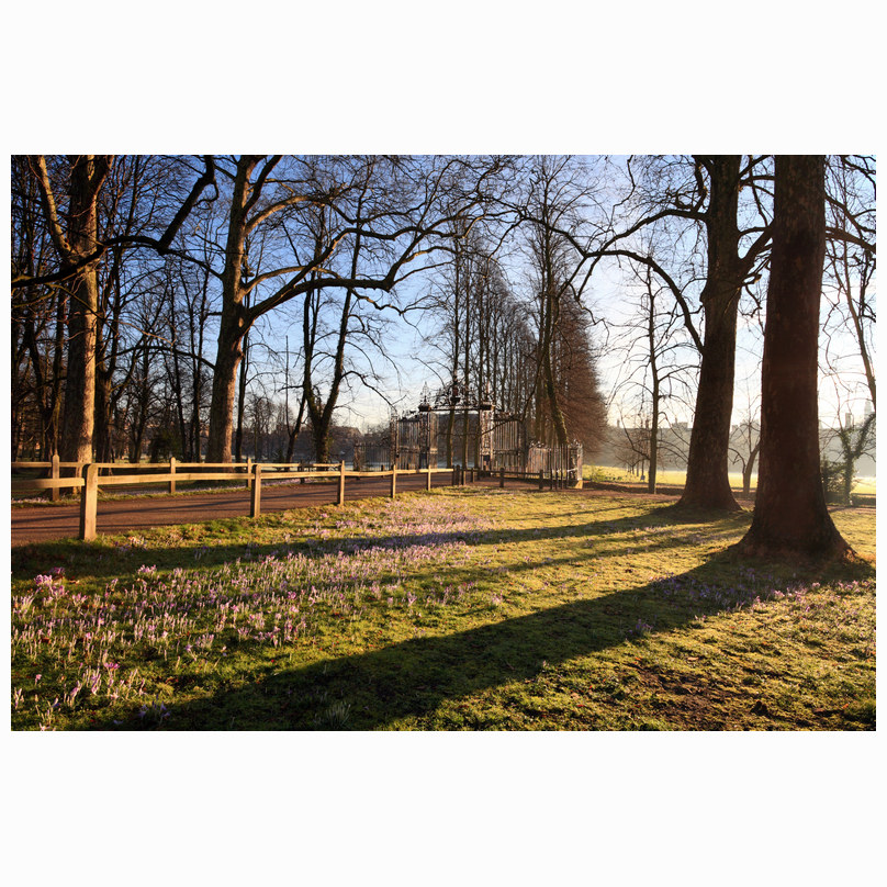 Shadows Trinity College