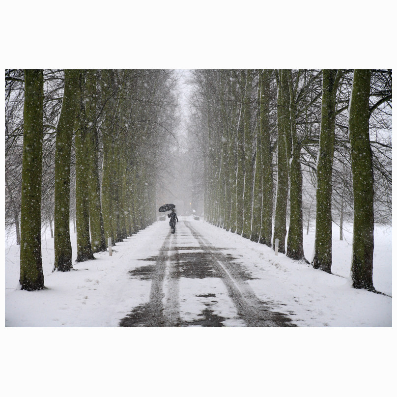 Umbrella Trinity Avenue