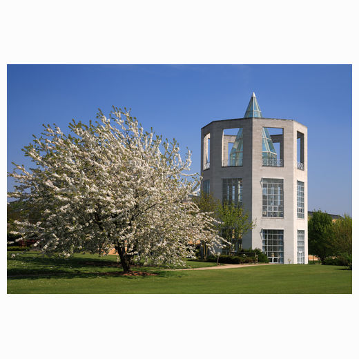 Moller Centre