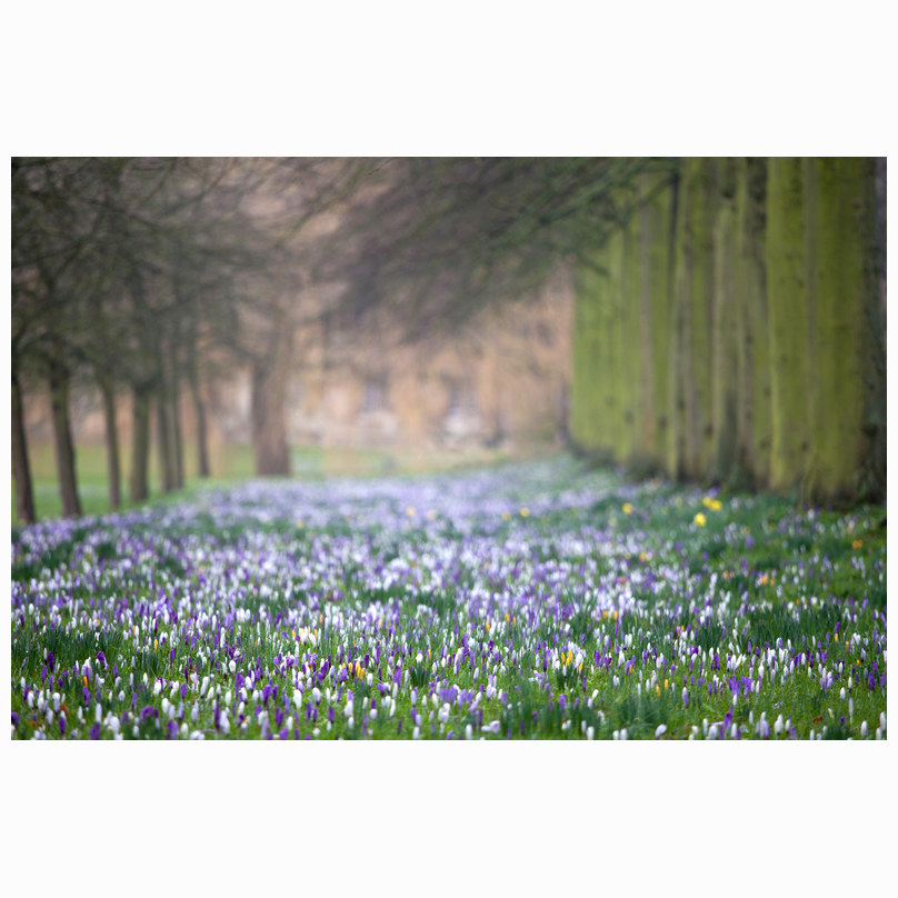 First signs of spring