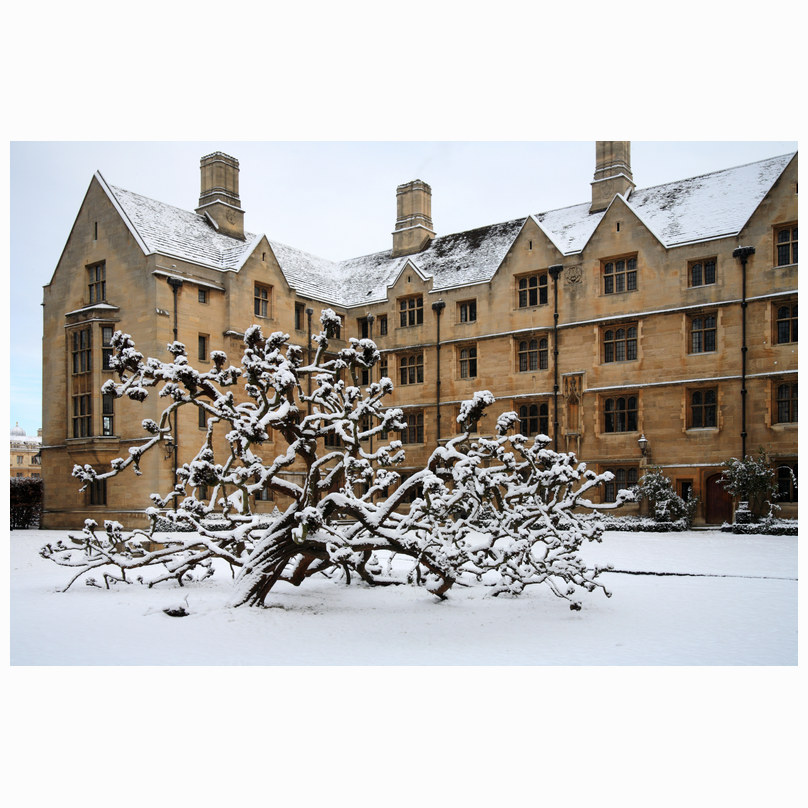 Bodley's Court in the snow