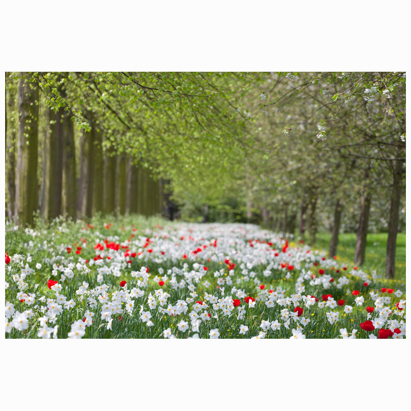 Trinity Bank Holiday